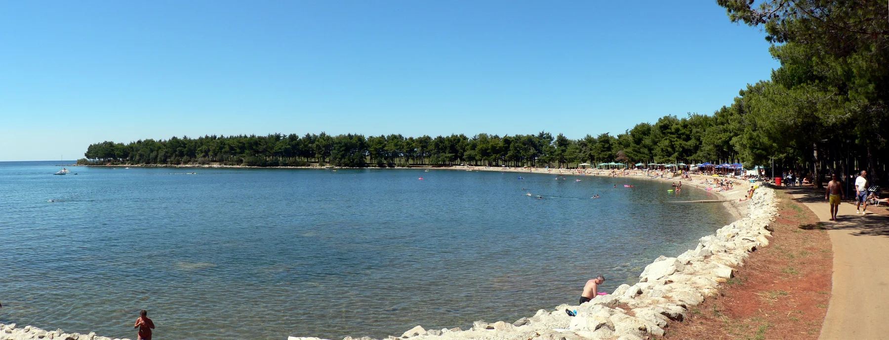 Kiesbucht mit Pinien an der Küste nördlich von Poreč